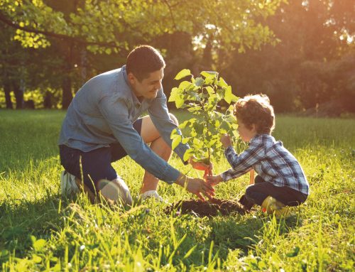 Familiefilantropie: samen geven verbindt generaties
